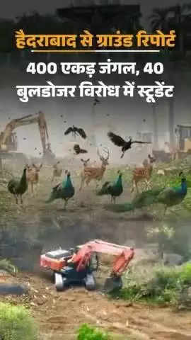 कहते हैं कि मोर राष्ट्रीय पंछी वो कितनी खतरा में है 🥺😱💖