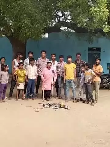 ग्राम पंचायत बमोर डामर मजरा हीरापुर मठिया तहसील पिछोर जिला शिवपुरी म,प्र,