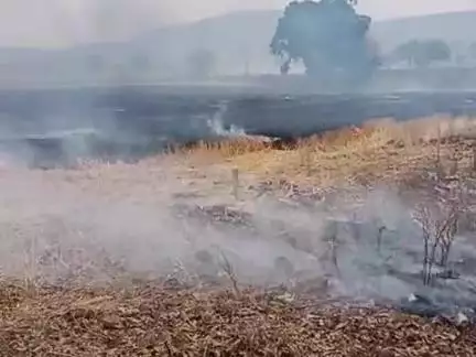 majhguwa kala khet @#laxman kushwaha