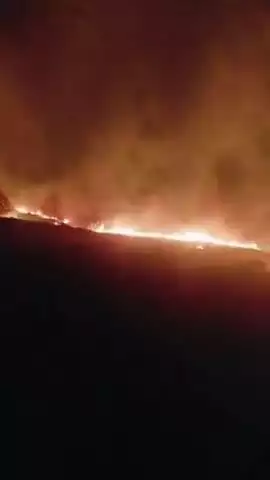 बांसापहाड़ के जंगल में भीषण आग