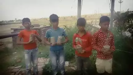 जिला बदायूं गांव कँजुआ में पौधों की चोरी #चोरी
