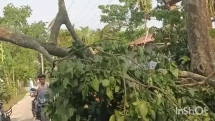 দক্ষিণ শালমাৰা: জামাদাৰহাট অঞ্চলত প্ৰচণ্ড ধুমুহা, ঠায়ে ঠায়ে বিস্তৰ ক্ষতিসাধন, দিনৰ ১২ বজা পৰ্যন্ত বিদ্যুৎ সেৱা ব্যাহত