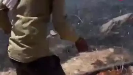गढ़बोर: उमरवास पंचायत के मावा का गुड़ा गांव में एक बाड़े में लगी भीषण आग, ग्रामीण को हुआ बड़ा नुकसान