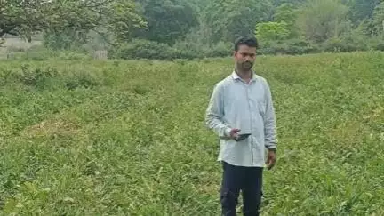 कटकमदाग: कटकमदाग में हाथियों का उत्पात, किसानों की फसल बर्बाद, लाखों का नुकसान