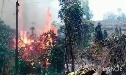 വടകര: മണിയൂർ കളരിമലയിൽ മൂന്ന് ഏക്കറിൽ തീ പടർന്ന് പിടിച്ചു, ചന്ദനമരം, കശുമാവുകൾ എന്നിവയ്ക്ക് നാശനഷ്ടമുണ്ടായി