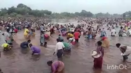 மேலூர்: மோகினி சாத்தான் கன்மாயில் வெகு விமர்சையாக நடைபெற்ற மீன்பிடித் திருவிழா, ஆயிரத்திற்கும் மேற்பட்டோர் ஆர்வமுடன் பங்கேற்பு