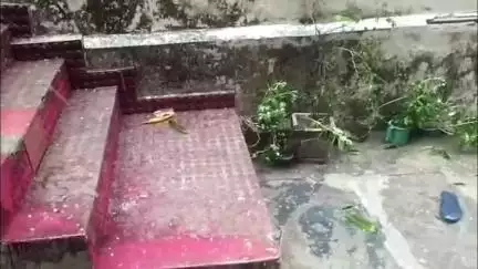 बागबाहरा खल्लारी कोमाखान क्षेत्र में तेज आंधी, बारिश और ओलावृष्टि से किसानों की बढ़ी मुसीबत
