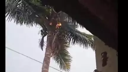 ತಾಳಿಕೋಟಿ: ಬಳಗಾನೂರ ಗ್ರಾಮದಲ್ಲಿ ಸಿಡಿಲು ಬಡಿದು ವ್ಯಕ್ತಿ ಹಾಗೂ ಎಮ್ಮೆ ಸಾವು ಸ್ಥಳಕ್ಕೆ ಕಂದಾಯ ಇಲಾಖೆ ಅಧಿಕಾರಿಗಳು ಭೇಟಿ ಪರಿಶೀಲನೆ