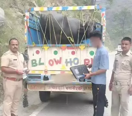 नारायणबगड़: नारायणबगड़ क्षेत्र में वाहन चेकिंग के दौरान पुलिस ने पशु लदी पिकअप वाहन किया सीज, चालक को कागजात न दिखाने का पड़ा महंगा
