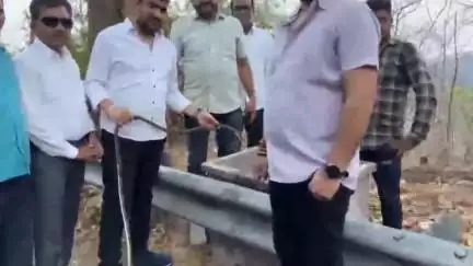 मोहखेड़: करणी सेना परिवार ने सिलवानी घाटी में बंदरों के लिए पानी और खाने की व्यवस्था की, जीव सेवा का अनोखा उदाहरण पेश किया