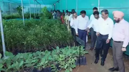 வண்டலூர்: மண்ணிவாக்கம் ஊராட்சி ஒன்றிய அலுவலகத்தில் பயிரிடப்பட்டுள்ள தாவர தோட்டத்தினை மத்திய ஊரக வளர்ச்சித் துறை செயலாளர் ஆய்வு