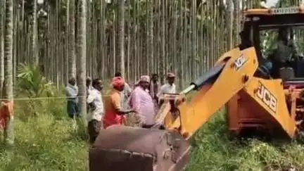 ತರೀಕೆರೆ: ಸಮತಳ ಗ್ರಾಮದಲ್ಲಿ ಅಡಕೆ ಗಿಡಗಳ ಮಾರಣಹೋಮ, ಅಕ್ರಮ‌‌ ಒತ್ತುವರಿ ತೆರವು ವೇಳೆ ರೈತ ಕಣ್ಣೀರು