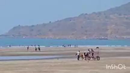 श्रीवर्धन: श्रीवर्धन समुद्र किनारी अज्ञात मृतदेह