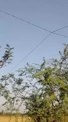 बरवास में  आज सुबह 6 बजे 11 हजार लाइन टूट कर गिर गई है, अच्छा हुआ जन हानि नहीं हुई,लेकिन घर के कूलर फ्रिज आदि सामन जल गए
