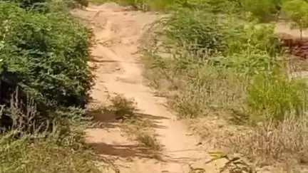 குஜிலியம்பாறை: பேர்நாயக்கன்பட்டி மக்களுக்கு சாலை வசதி வேண்டுமென கோரிக்கை #localissue