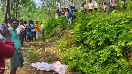 ಪುತ್ತೂರು: ಕಣಿಯಾರು ಮಲೆ ಅರ್ತಿಯಡ್ಕ ಸಿಆರ್‌ಸಿ ಕಾಲೊನಿ ಬಳಿ ಕಾಡಾನೆ ದಾಳಿಗೆ ಮಹಿಳೆ ಬಲಿ