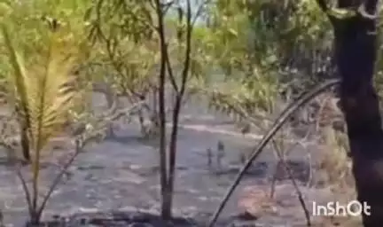 वैभववाडी: हेत येथील वयोवृद्ध महीलेचा उपळे येथील काजू बागेत आढळला मृतदेह : वैभववाडी पोलीस ठाण्यात नोंद