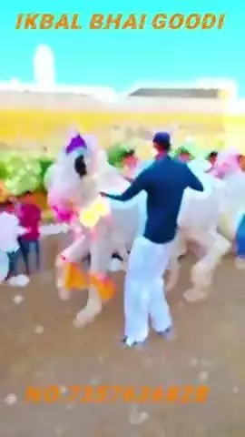 rawatsar gangour program
