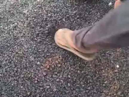 badawalo ki dhani se Haripura road ka kam me nam matra ka rodi or damar dala gaya hai iski jach honi chahiye