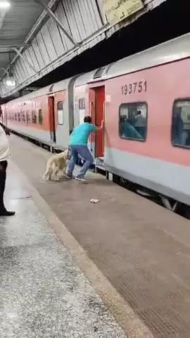 क्या कहना चाहेंगे ऐसे लोगों पर । 
#aamnews24