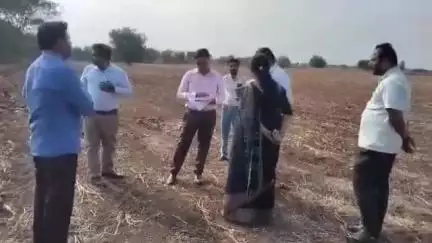 ತಿಕೋಟಾ: ತಾಲ್ಲೂಕಿನಲ್ಲಿ ನೂತನವಾಗಿ ಪ್ರಾರಂಭವಾದ ಪ್ರಜಾಸೌಧ ಕಟ್ಟಡದ ಸ್ಥಳ ಪರಿಶೀಲಿಸಿದ ಜಿಲ್ಲಾಧಿಕಾರಿ