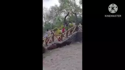 मंडरो: वन विभाग के फॉसिलिक पार्क में प्रवेश के लिए चेकिंग की जाएगी, वन रक्षी फोलिसिट हांसदा ने दी जानकारी