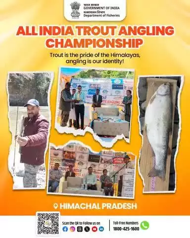 Trout, the pride of the Himalayas! The 8th All India Trout Angling Championship (Apr 25–27) in Manali, Kullu, celebrated a sustainab angling with a catch-and-release event. Organized by Fisheries Dept, HP & angling associations. #Himachal