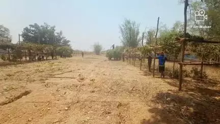 चाईबासा सदर प्रखंड अंतर्गत सिम्बिया पंचायत गांव पता गुईरा सोंटेबासा में दिरि दुलसुनुम कार्यक्रम तैयारियां हो रहा है।