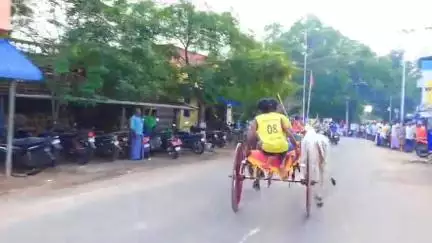 தேவகோட்டை: சித்தானூரில் சித்திரை திருவிழாவை முன்னிட்டு இரட்டை மாட்டு வண்டி எல்கை பந்தயம்