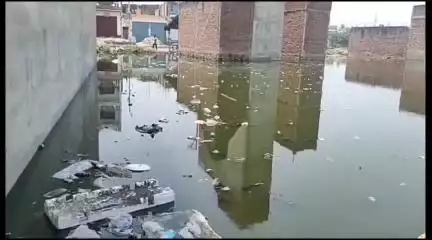 इटावा: फ्रेंड्स कालोनी इलाके के मित्रपुरम कालोनी में जलभराब कई समस्या को लेकर मोहल्लेवासी ने डीएम को ज्ञापन दिया है #Jansamsya