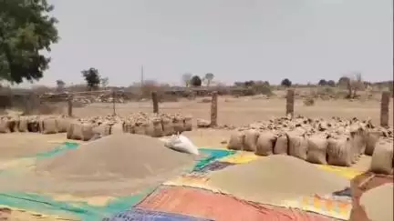गुनौर: माया वेयरहाउस में चल रही खरीदी में भारी अनियमितताएं, परेशान किसानों ने लगाया आरोप #jansamasya