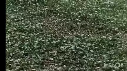 হরিরামপুর: হরিরামপুর ব্লকের মালিয়ান দীঘি এলাকার নালাপাড়া অঞ্চলে পুকুর দখলকে কেন্দ্র করে চরম উত্তেজনা ছড়াল, গ্রেফতার এক