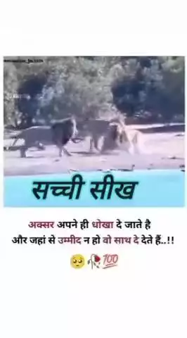 अपने धोखा देते हैं औरों का क्या