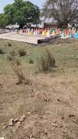 kamal pur chhat ghat hai
talab me bahut gandagi hai##
