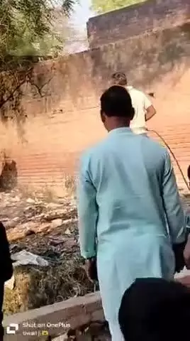ata ganj usari salon raibareli jile me ped me lagi aag maoke me pahuche fayer biged ye ghatna panchayat bhavan ke bagal