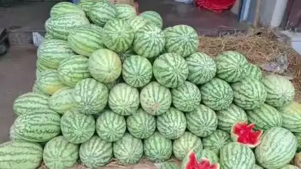 அமைந்தகரை: மார்க்கெட் பகுதியில் உணவு பாதுகாப்பு துறை அதிகாரிகளை கண்டித்து வியாபாரிகள் போராட்டம்