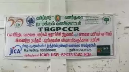 கொல்லிமலை: சோளக்காட்டில் பழங்குடியின மக்களுக்கு மிளகு மற்றும் ஏலக்காய் சாகுபடி குறித்த பயிற்சி முகாமில் ஏராளமான விவசாயிகள் பங்கேற்றனர்