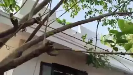 പൊന്നാനി: തിരുനാവായ പട്ടർനടക്കാവിൽ പേരക്ക പറിക്കുന്നതിനിടെ കാൽ വഴുതി കിണറ്റിൽ വീണ സ്ത്രീ മരിച്ചു