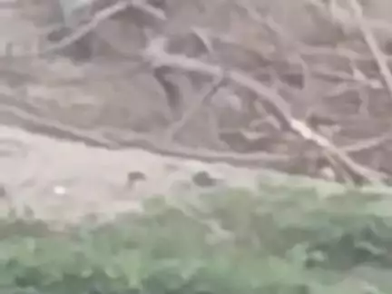 panchayat chapaur ke अंतर्गत chananpur