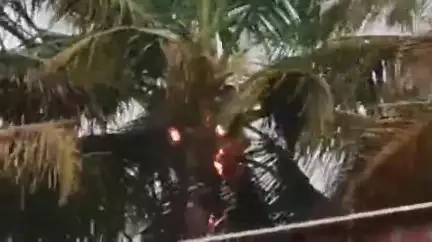 ಹುಕ್ಕೇರಿ: ಬಡಕುಂದ್ರಿ ಗ್ರಾಮದಲ್ಲಿ ಸಿಡಿಲು ಬಡಿದು,ಹೊತ್ತಿ ಉರಿದ ತೆಂಗಿನ ಮರ