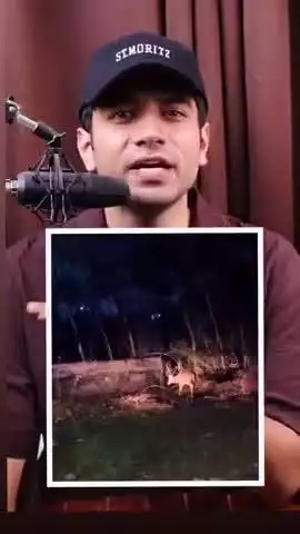 Telangana forrest demolished in congress government? 🤔🤔🤔 #viral #video #2025 #telangana #forest demolished