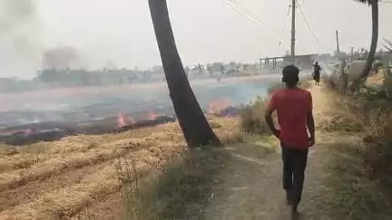 Chandi थाना क्षेत्र में तुलसीगढ़ पंचायत रसलपुर गांव में आग ल 1बीघा में