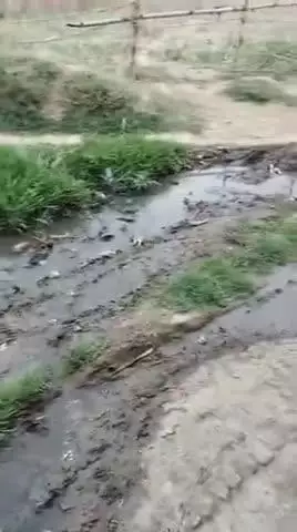 प्रिय प्रधान जी 

ग्राम धानोता चमटोल के पास शंकर जी का मंदिर है 
वहां का स्थिति देख लीजिए आने-जाने में बहुत प्रॉब्लम हो