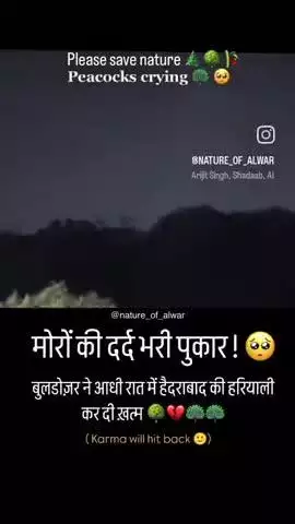 save animals 🐨🐱🐯🦁🐻‍❄️save forest 🎄🌲🌴 please share😢😔#save animals