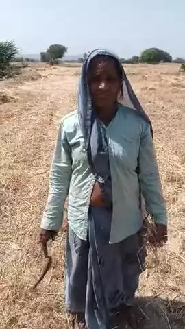रगौली कंचनपुर से 2 ताली काटा गेहु चोरी हो गया