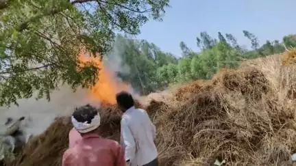 सिधौली : #सिधौली सीतापुर ग्राम सभा कैम गंगेश्वर नाथ मे बिजली का तार गिरने से लगी आग स्थानीय लोग पहुंच कर आज पर काबू पाए