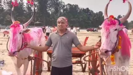 मुरुड: चिकणी-काशीद समुद्रकिनारी रंगली बैलगाडी शर्यत 
आर्या अजय मयेकर प्रथम