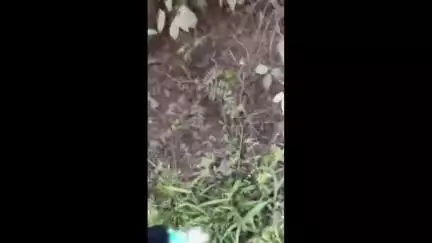 মহম্মদবাজার: ডেউচার কাছে জাতীয় সড়কের ধারে নিয়ন্ত্রণ হারিয়ে গাছে ধাক্কা মেরে উল্টে গেল চার চাকা গাড়ি, আহত হয় গাড়িতে থাকা দুজন