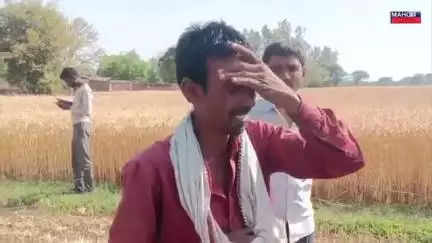 महोबा जिले के कमालपुरा गांव में अग्निकांड खड़ी फसल में लगी आग  लोगो को बहुत नुकसान हुआ है कल दिनांक 05/04/2025 की खबर है