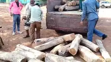 शमशाबाद:-वन विभाग शमशाबाद के मुखाबीर की सूचना के आधार पर की इमारती लकड़ी जप्त